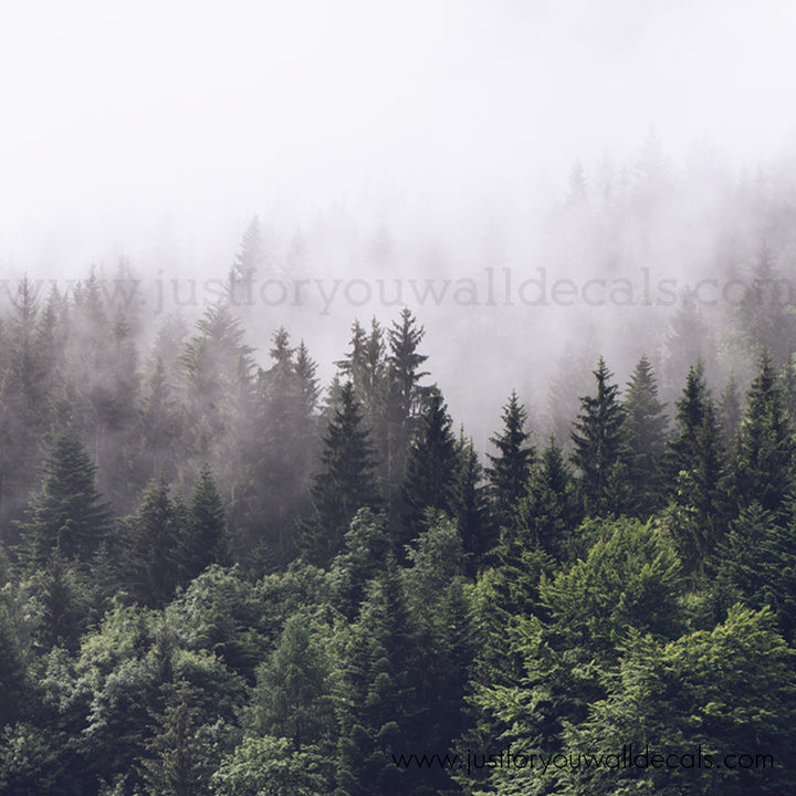 forest wallpaper